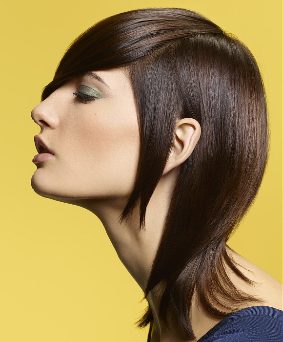 Camille Albane Long Brown Hairstyles